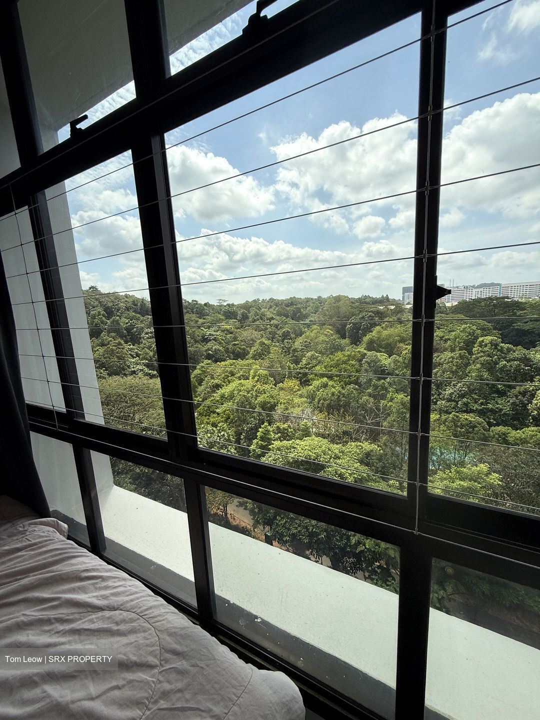 Blk 466 Segar Gardens (Bukit Panjang), HDB 4 Rooms #566417371